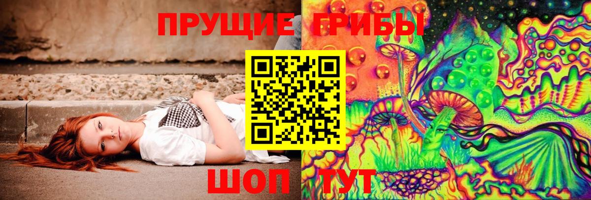 Псилоцибиновые грибы мицелий  Вход с VPN  Псилоцибиновые грибы мухоморы  Зеленодольск 