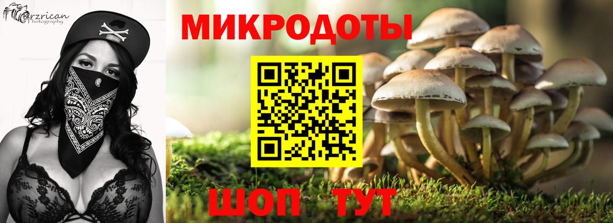 Псилоцибиновые грибы ЛСД Зеленодольск